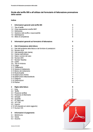 Tarif 595 Wegleitung